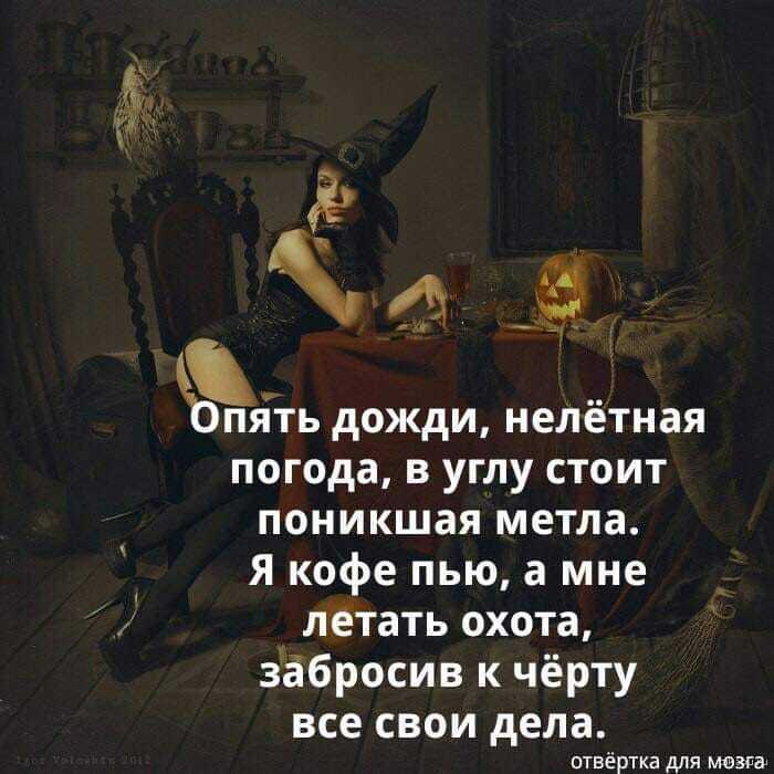 Нелетная погода картинки