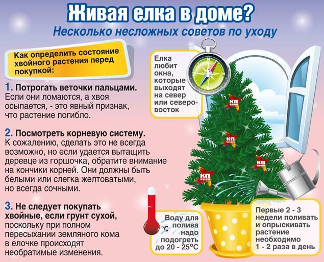 Как правильно разбирать новогоднюю елку Фото@Mail.Ru: : Фото группы