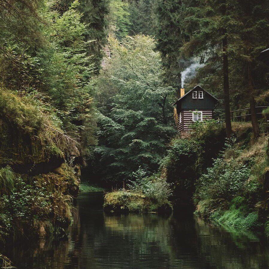 дом в лесу фото картинки