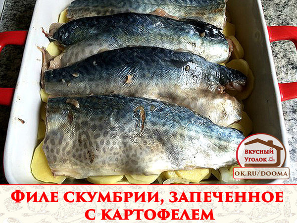 Скумбрия, запеченная с картофелем в духовке, без сомнений придется по вкусу любителям рыбы, к тому же в отличие от жарки на сковороде в масле, блюдо получается питательным, но не избыточно жирным. А какая вкусная получается картошка... ммм.. 
Рецепт смотрите на сайте - http://mirznaek.ru/dir/13-1-0-1835