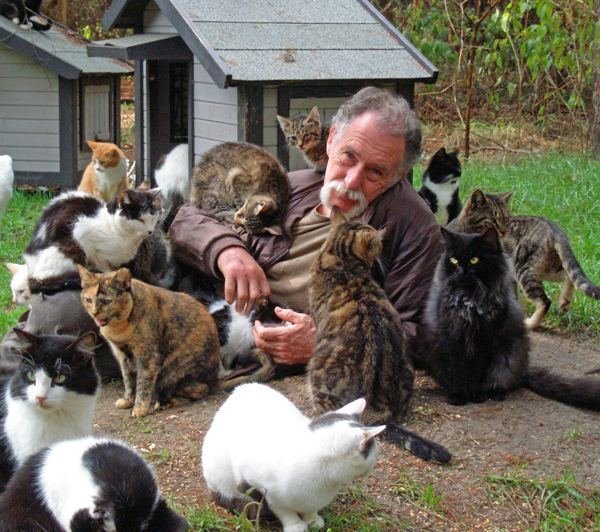 В окружении животных. Мужик и много кошек. Человек и много котов. Человек среди котов. Мужчина и много животных.