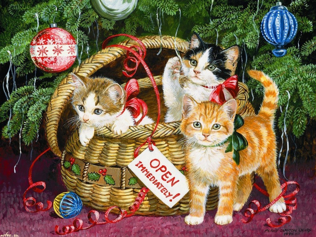 Картинках для, новогодние открытки с котенком