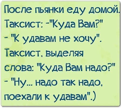 Смешные высказывания и картинки о едет