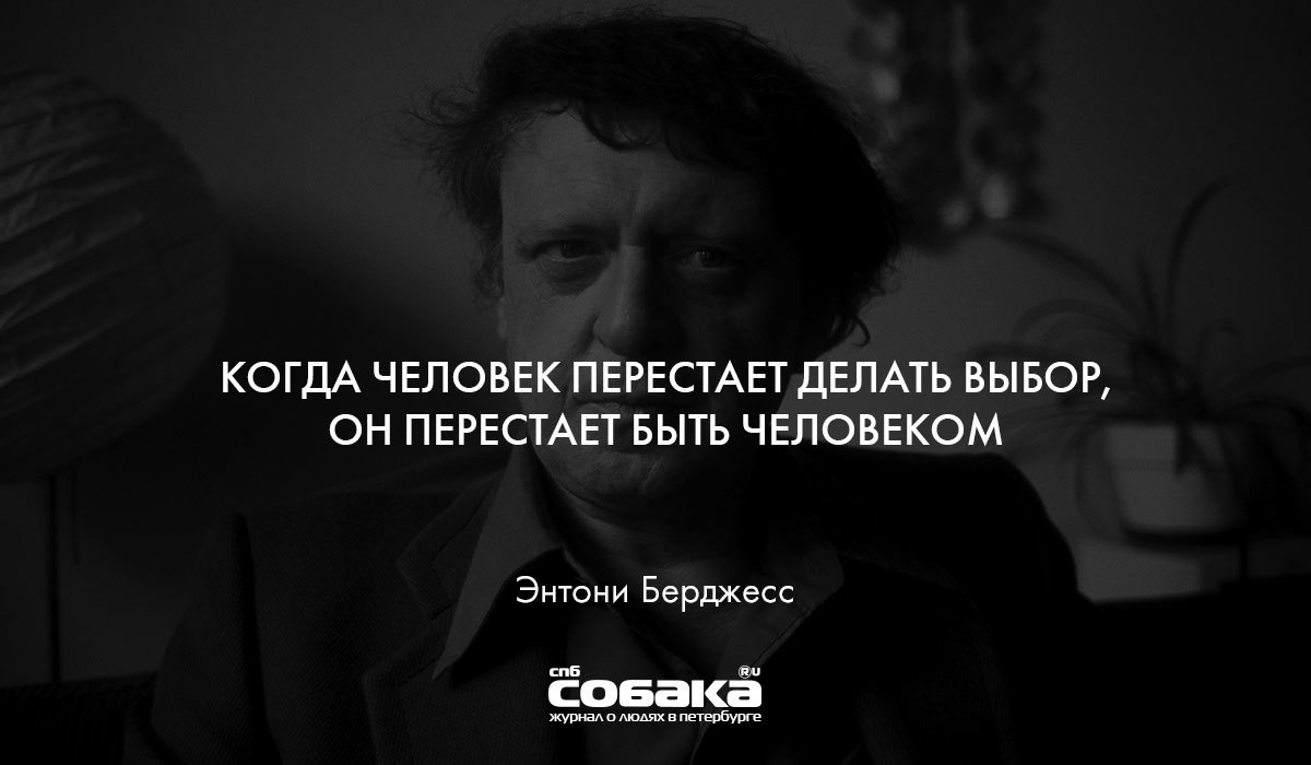 Перестаю становится. Выбор цитаты великих людей. Цитаты про выборы. Цитаты про выбор. Цитаты о выборах великих людей.