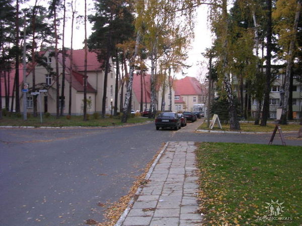 Вюнсдорф сегодня - Wünsdorf heute | Plants, Tree, Garden