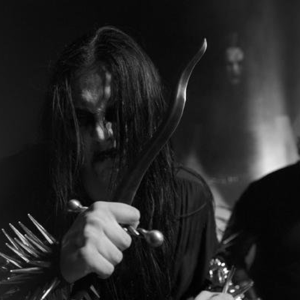 Depressive Suicidal Black Metal группы