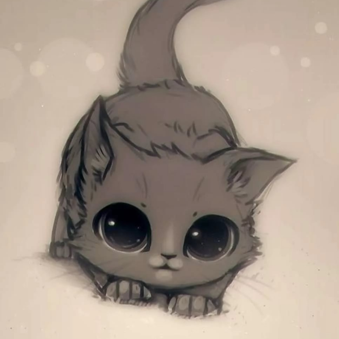 Няшные котики рисунки