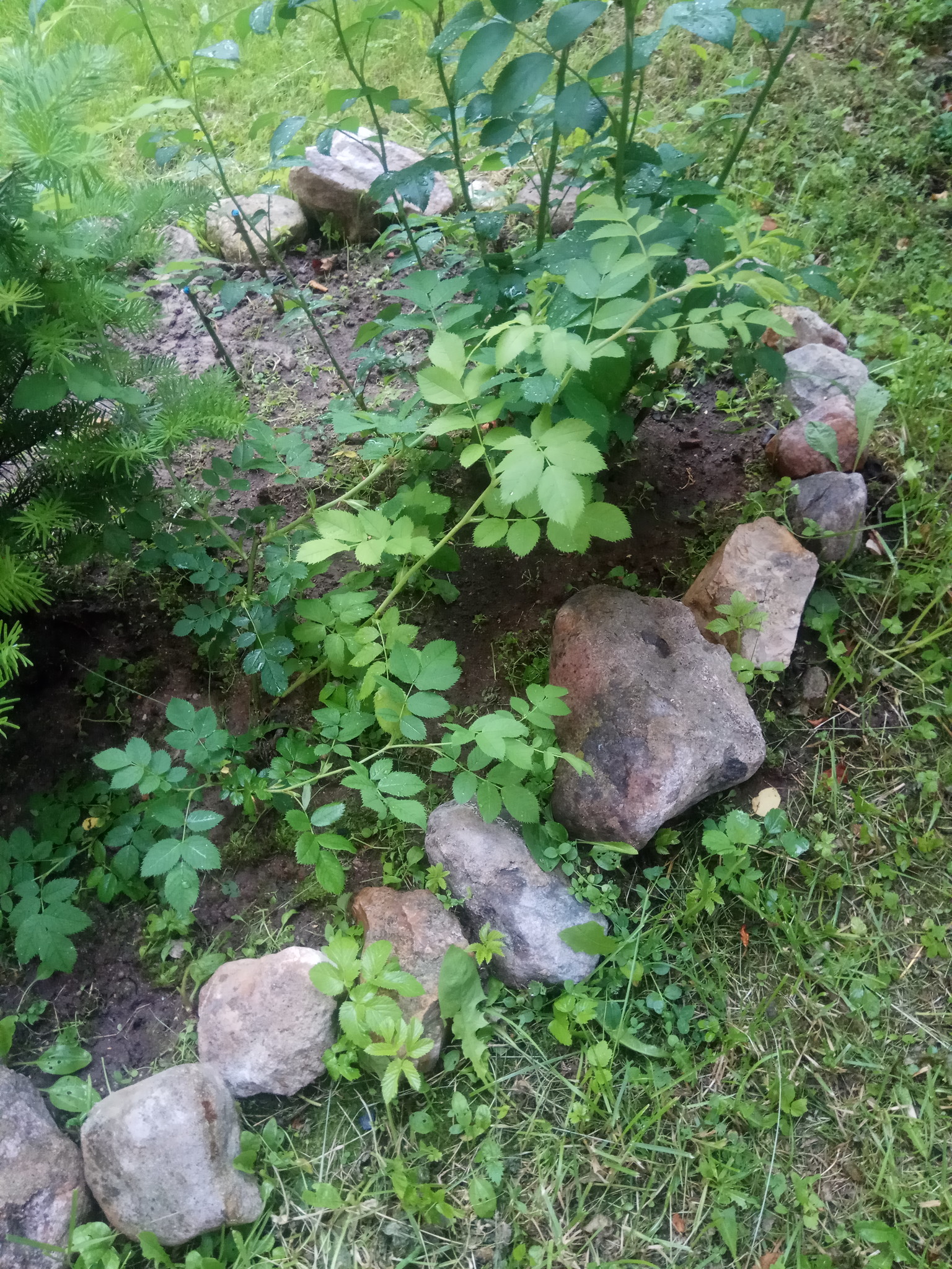 https://content-6.foto.my.mail.ru/mail/leonleoariel1/_myphoto/b-32.jpg